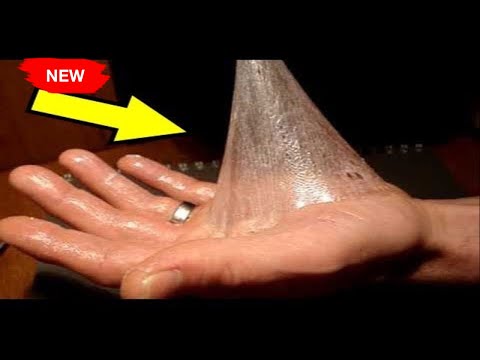 10 Most Craziest Guinness World Records