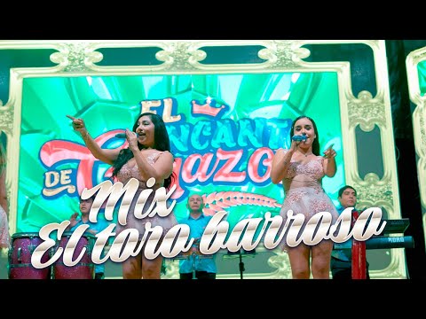 El Encanto de Corazon - Mix El toro barroso