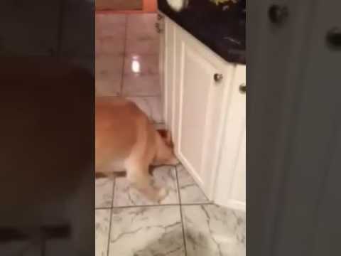 2 de noviembre de 2016