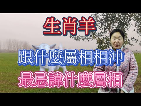 生肖羊相沖