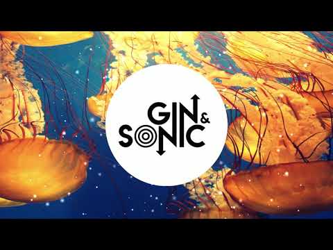 Gin and Sonic 2020 Yearmix (Mashups, Remixes and Originals)