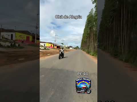 PE 40 - Chã de Alegria- estrada massa. Recuperada. Top. #proletariusinfectus #viagemdemoto