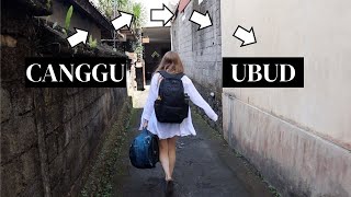 Heading to the Centre of Bali! | Canggu to Ubud