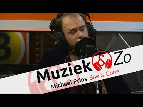 Michael Prins - She Is Gone