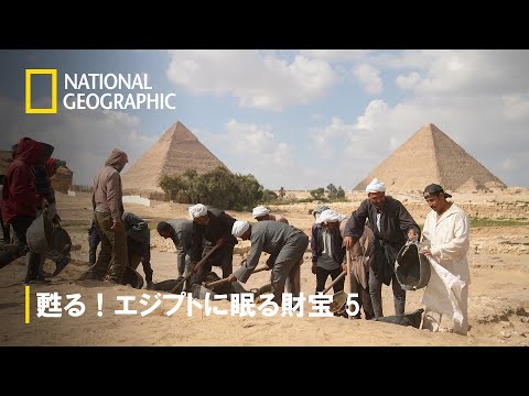 考古学的発見: 船は500年前に姿を消し、その後ここに現れました