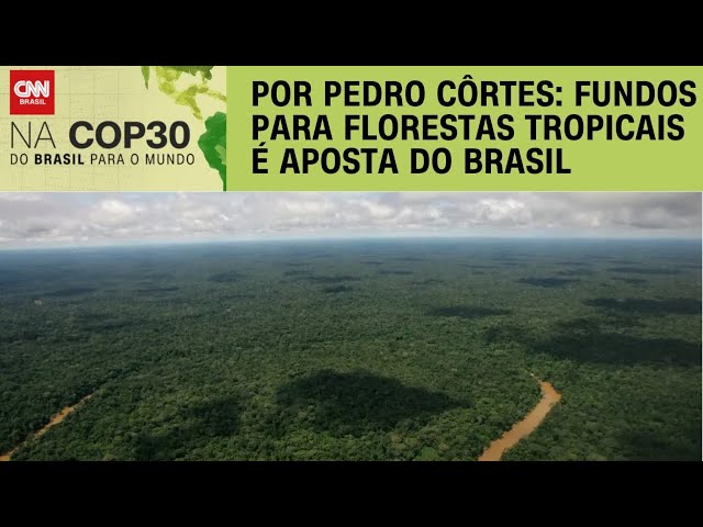 CNN na COP30: Fundo Florestas Tropicais para Sempre é uma das apostas do Brasil | CNN NOVO DIA