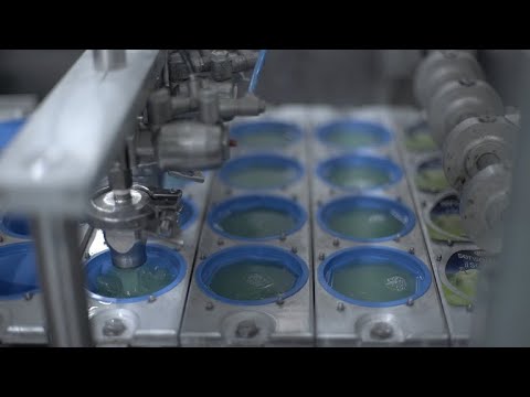 Docu-intervista all'azienda Dolfin