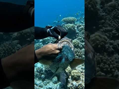 akcja ratunkowa #ryby #wirusowe #krótkiefilmy #krótkifilmyoutube #krótkifilm