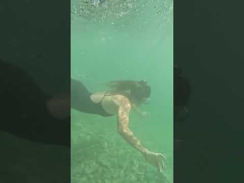 This is a crystal-clear river in Bodoquena Mato Grosso do Sul called the Salobra River.#top #nature