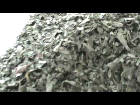 EuroPrima DoubleZigZag