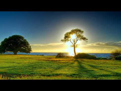 The Moonshine Jesus Show – "Blue Beetle"