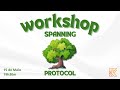 Workshop de Spanning Tree Protocol (STP)