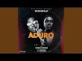 Aduro Remix
