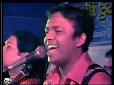 Old sunflower Nonstop ...🍁🌹🎸🌷🎀🌻💗