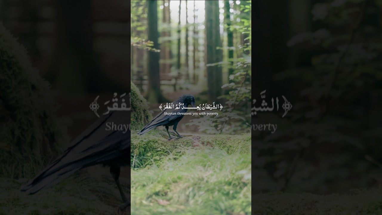 "والله يعدكم مغفرة".. لا تدع وسواس الفقر ينسيك فضل الله الواسع! ✨🛡️
