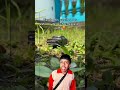 PESO PLUMA De Temu Meme Humor Memes Pesopluma