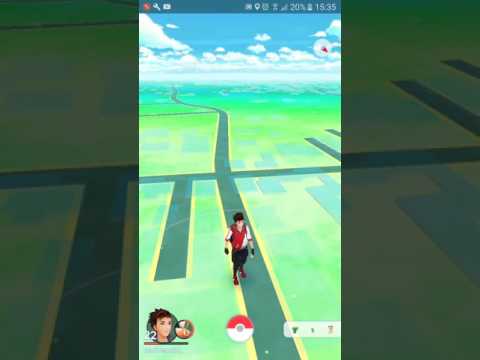 HO CATTURATO DITTO!!!!NON É UNO SCHERZO VE LO GIURO!!!!