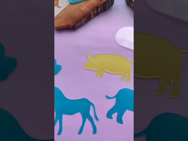 Vídeo relacionado con 20 chinchetas de animales divertidos para tablón de anuncios y pizarras blancas, alfileres decorativos para fotos, carteles y notas