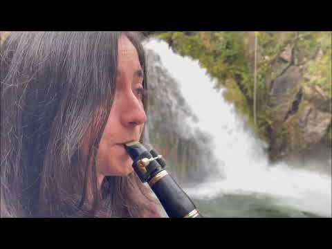 Pablo Estellés & Lorena Rodríguez - Vuela alto (Pablo Estellés)