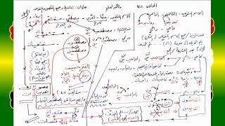 صورة 122 √ تثنية وجمع المقصور والمنقوص