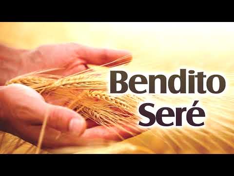 Bendito seré (cover)