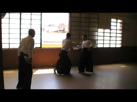 Curso primavera-verano aikidojoterrassa  2011 (1ª parte)