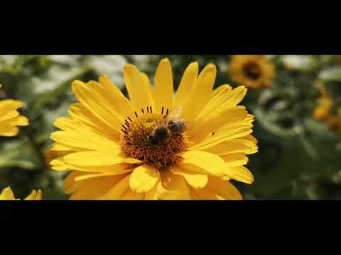 Gospodarstwo Agroturystyczne "We Młynie" Prądnik Korzkiewski