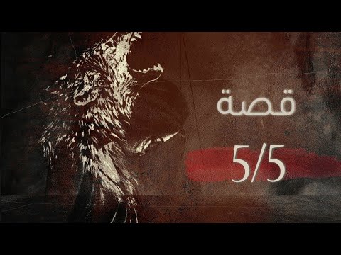 81 - قصة خطة !!