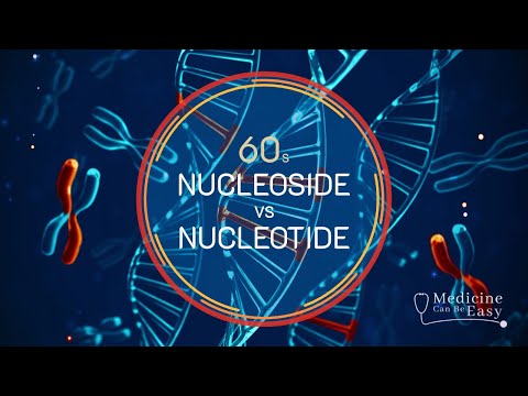 Genetics in 60 seconds: Nucleoside vs Nucleotide