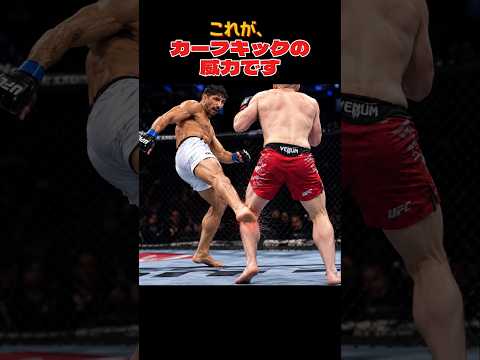 これが、カーフキックの威力です