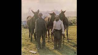 The Ozark Mountain Daredevils. Fly away home.