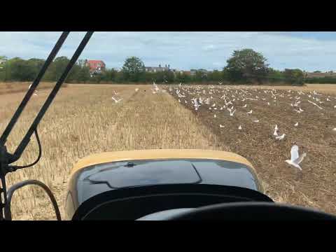 Caterpillar Challenger 865C Tractor