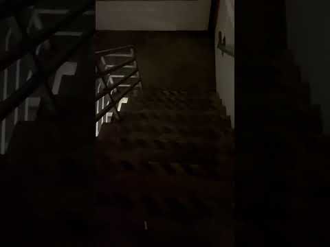 The area outside the deck is bad enough it’s even worse inside