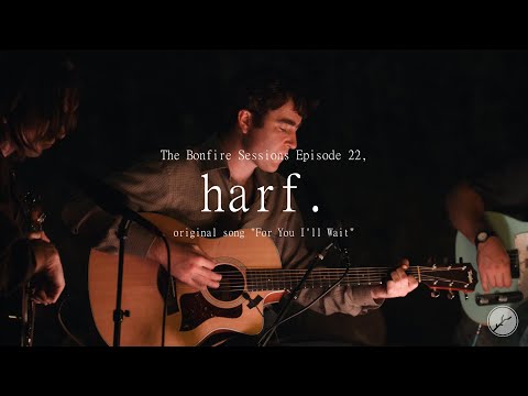 For You Ill Wait - harf.