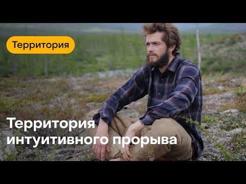 Смысл фильма Территория. Памяти Александра Мельника.