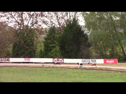 Race 6  Federation Trophy - A2  485m