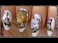 Wild Nail Art, Water Decals, bornprettystore Review ...
