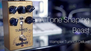 Video thumbnail for A Tone Shaping Beast | Wampler Tumnus Deluxe by Rabea Massaad