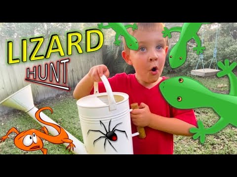 Lizard Hunt for KIDS - Spider, BEETLE, Lava and LIZARDS!! Bug Hunt for REAL BUGS!!