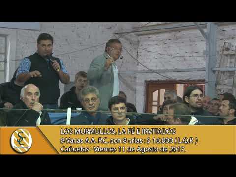 11-08-17 Venta Vacas con cría PC - Los Murmullos,La Fé e invitados - Cañuelas -