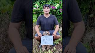 Perdí a mi perrito 💔🥺