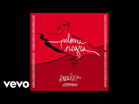 Miniatura de Paloma Negra