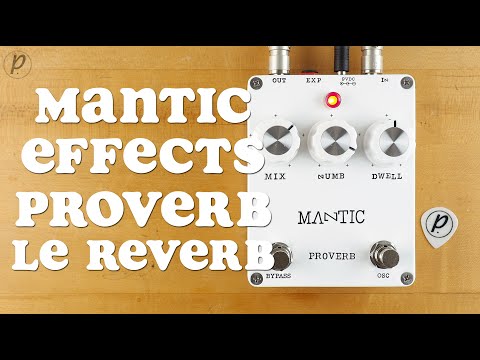 Mantic Effects Proverb LE Reverb