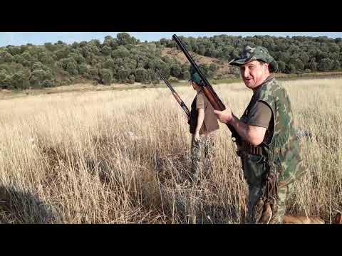 Media Veda 2019 - Caza de Codorniz 25-08-2019