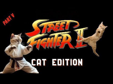 Street Fighter: Cat Edition Part 5 - Bemoner #cats