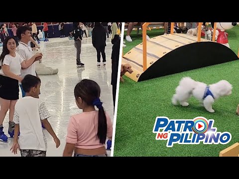 Bilang ng mallgoers tumaas ng 20-30%: mall manager Patrol ng Pilipino
