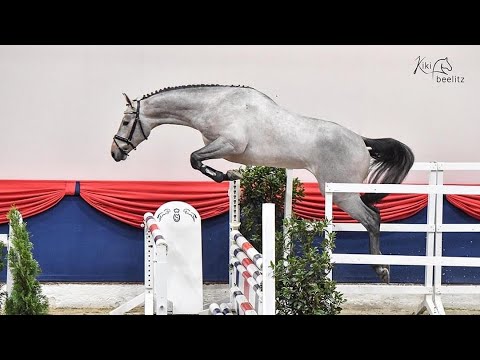 Hengstanwärter v. Flic en Flac AA