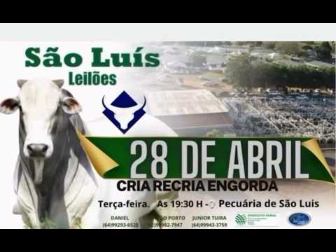 São Luis de Montes Belos - GO   28/04/2026