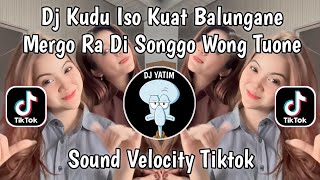 Download lagu DJ KUDU ISO KUAT BALUNGANE MERGO RA DI SONGGO WONG TUANE - DJ EGO WONG TUO VIRAL TIKTOK TERBARU 2025 mp3