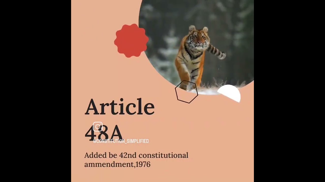Article 48 A : Protecting environment and wildlife